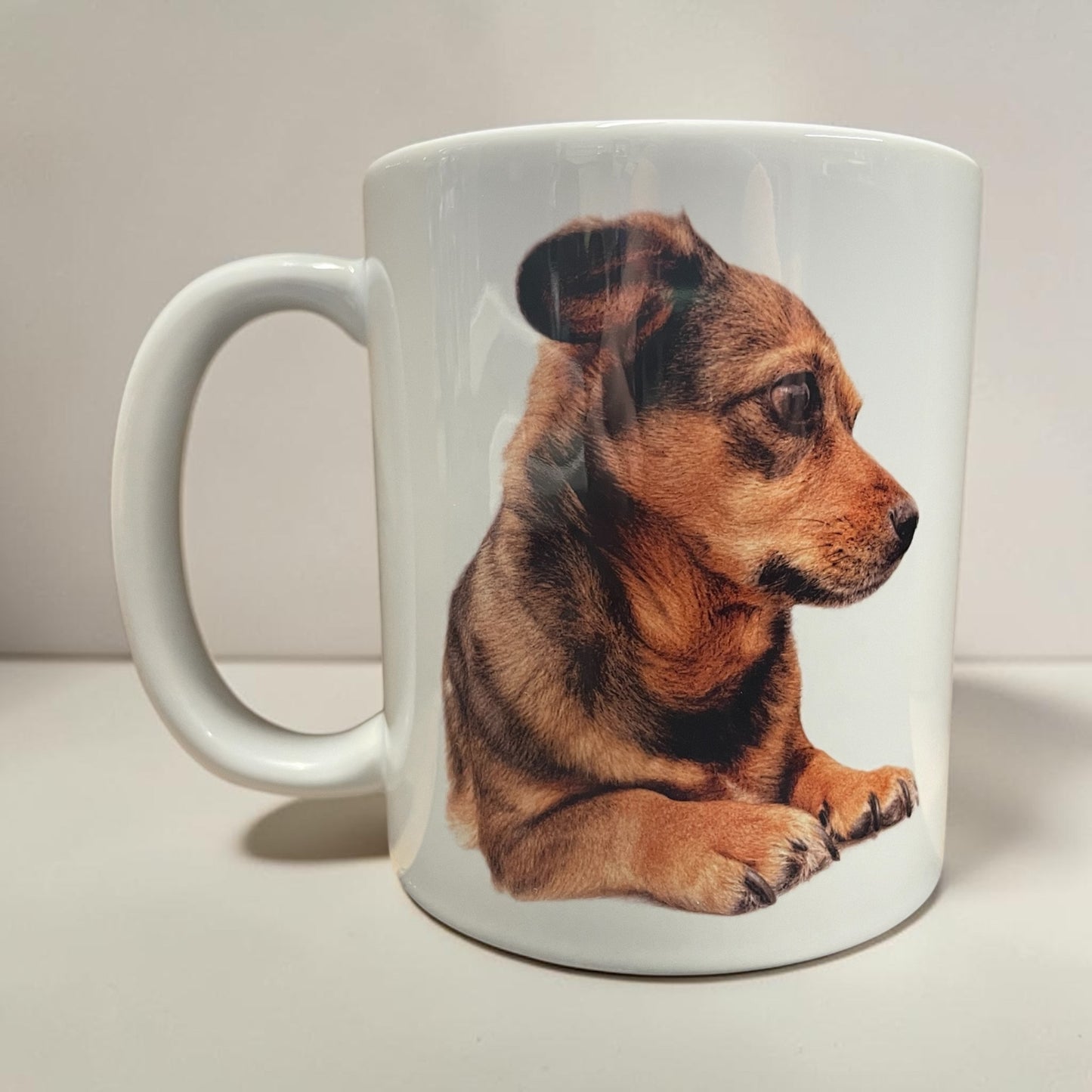 Coloured pencil sketch mug, personalised with your horse, dog, cat picture 11oz ceramic mug