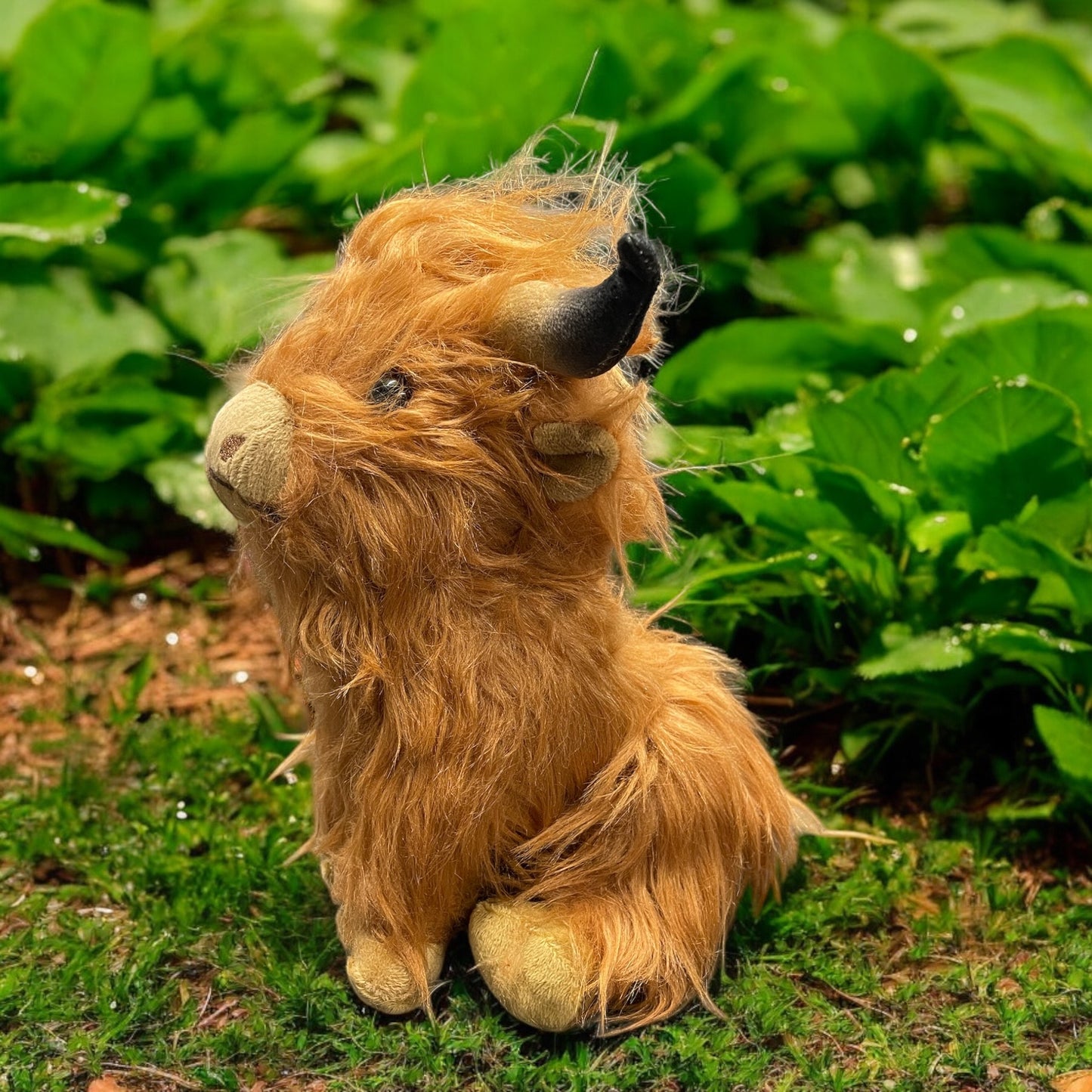 Plush Highland Cow, shaggy and cute 23cm tall
