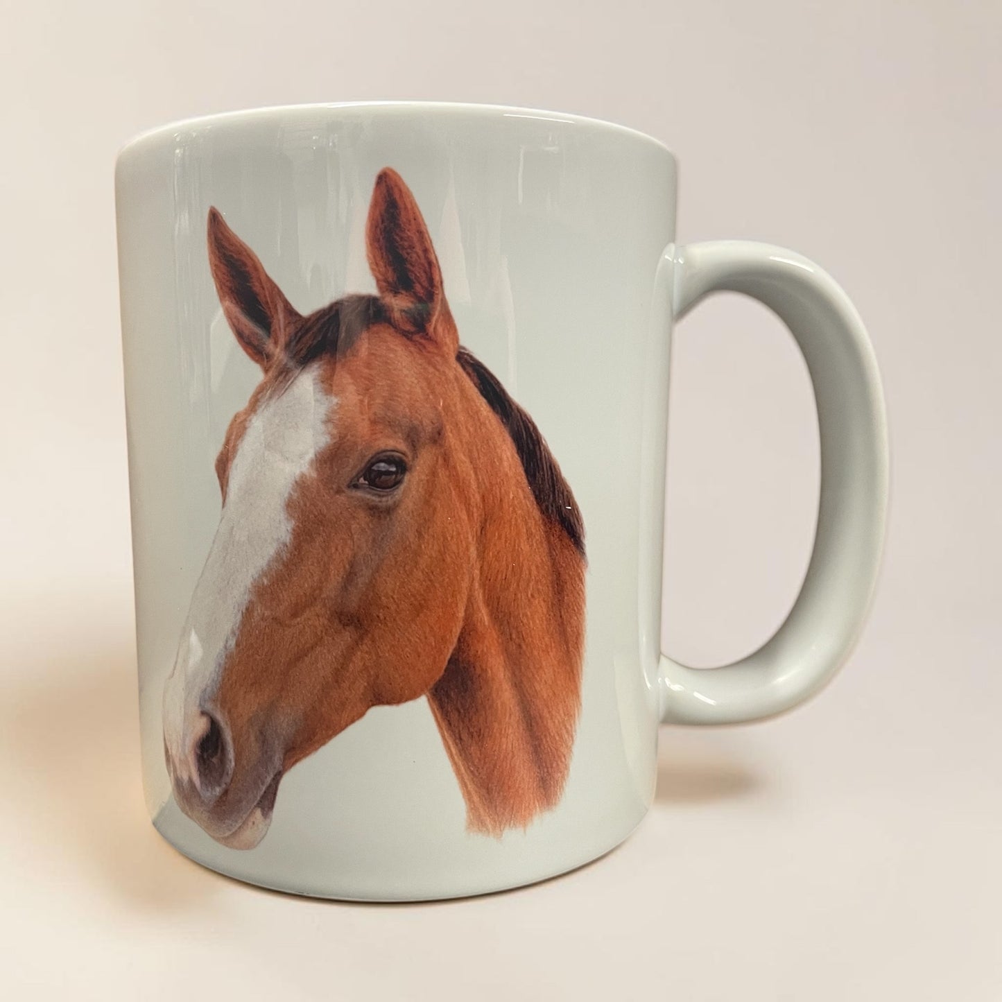 Coloured pencil sketch mug, personalised with your horse, dog, cat picture 11oz ceramic mug