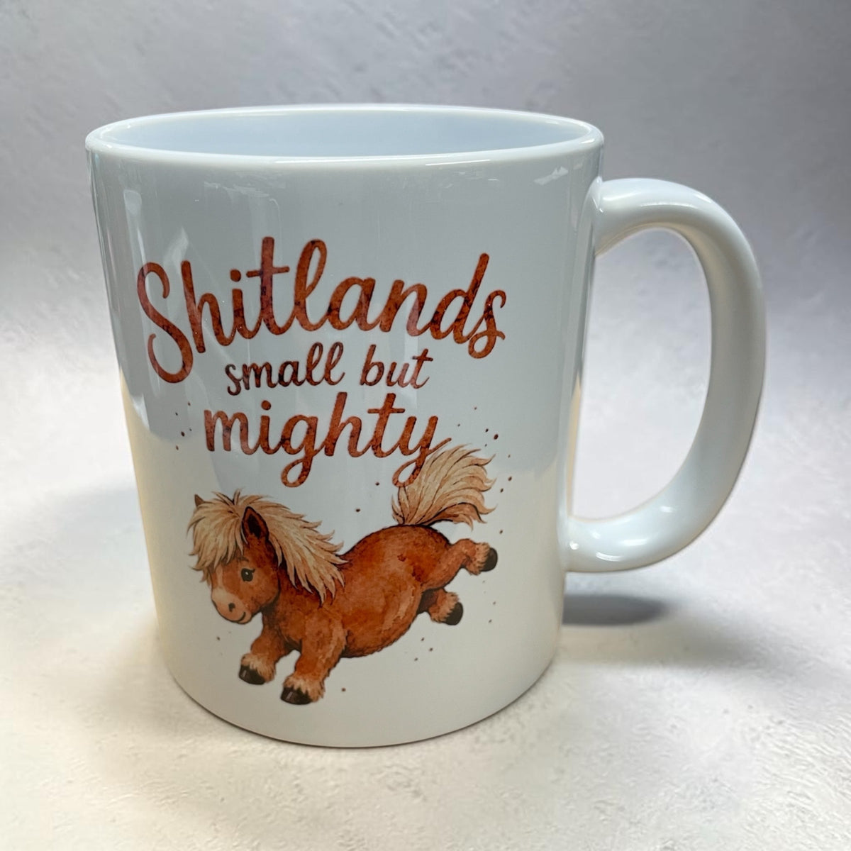 Equestrian theme funny ceramic mug 11oz Shetland pony small but mighty