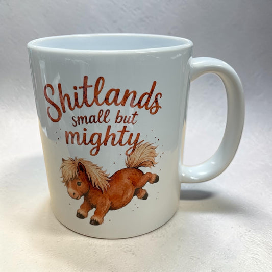 Equestrian theme funny ceramic mug 11oz Shetland pony small but mighty
