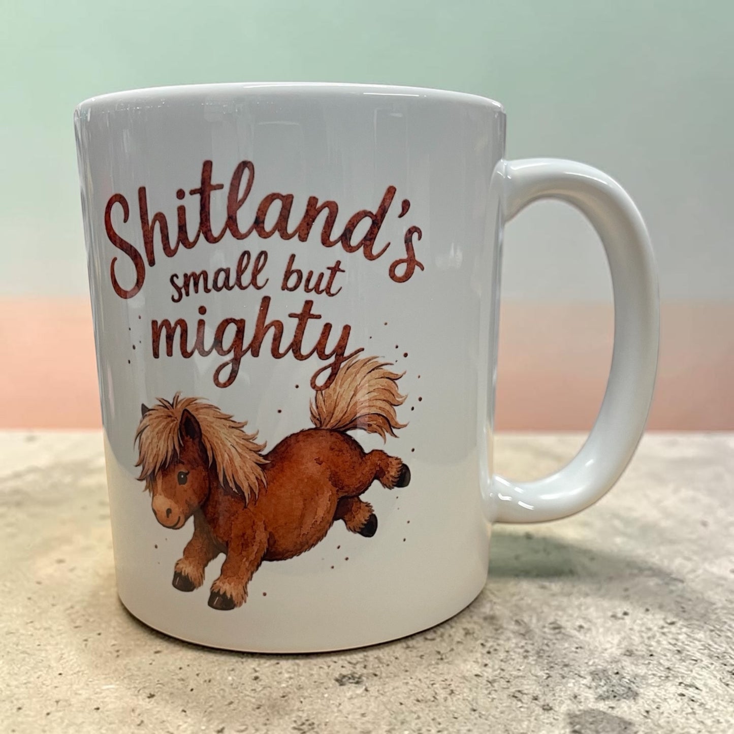 Equestrian theme funny ceramic mug 11oz Shetland pony small but mighty