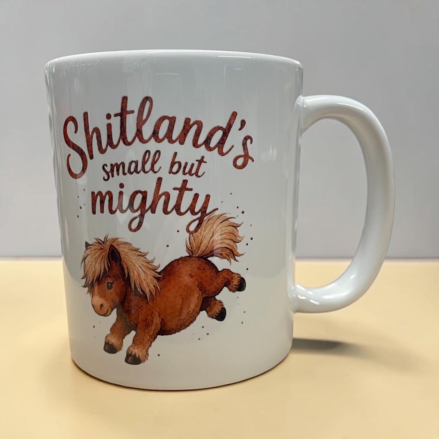 Equestrian theme funny ceramic mug 11oz Shetland pony small but mighty
